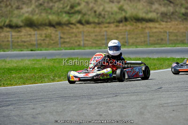 DSC_ (1532).jpg